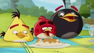 Angry birds toons the truce episode 49 season 1