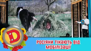 росіяни тікають від мобілізації! 🤔 Типові способи «відкосити» 😂 ДИЗЕЛЬ ШОУ 2022 🇺🇦