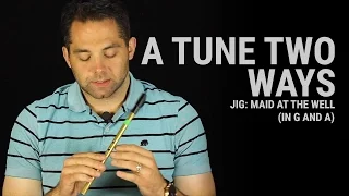 Tin Whistle Lesson - Maid at the Well (Jig)