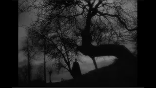 Diary of a Country Priest (1951) by Robert Bresson, Clip: The priest collapses in the woods at night