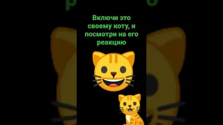 Включи это своему коту/кошке, и посмотри на его/её реакцию. 🐱