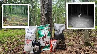 What is the best deer food attractant? You won't believe who won!