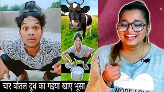 चार बोतल दूध का गैइया खाए भूसा Funny Song || The Comedy Kingdom | REACTION | BHOJPURI CHILLIZ 2.0 |