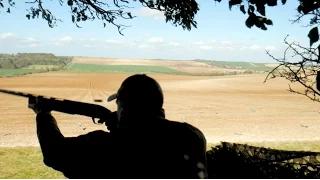 The Shooting Show - old vs young pigeon decoying PLUS the Northern Shooting Show