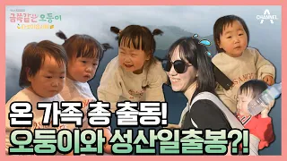 다섯명 업고 성산일출봉 정상에? 스펙터클★ 오둥이의 제주 여행기! | 채널A 프라임 다큐 금쪽같은 오둥이 다섯이옵서예 1 회