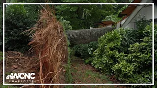 In wake of storm damage, experts warn of scammers