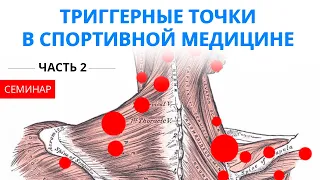 Триггерные точки в спортивной медицине и не только (Семинар от 12.05.2018 - ЧАСТЬ 2)