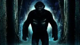 What Is: The Mogollon Monster