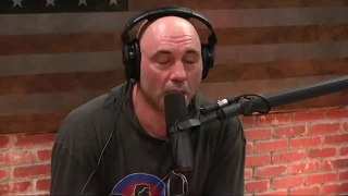 Joe Rogan on Addiction & Wasting Your Life