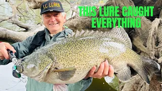 HUGE MURRAY COD Caught By Hall Of Fame Lure Designer On My Whistling Willy Lure