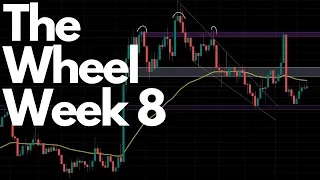 The Weekly Wheel: Week 8