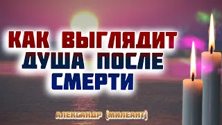 Душа: как она выглядит и куда уходит после смерти? Eпископ Александр (Милеант)