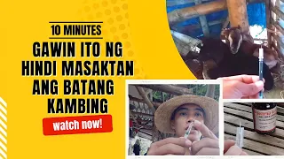 Tip Para HINDI MASAKTAN Kapag Nag-inject ng Pamurga sa Batang Kambing💉