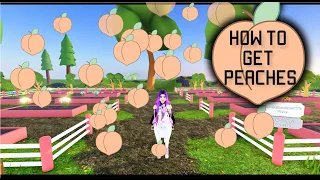 How To Get Peaches - Wild Horse Islands