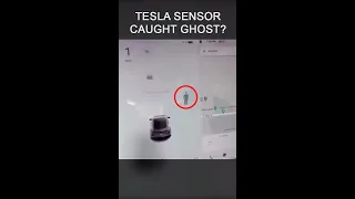 TESLA CENSORED CAUGHT GHOST?