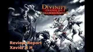 Divinity: Original Sin Enhanced Edition Review