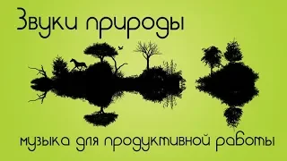 Звуки природы. Музыка для продуктивной работы.