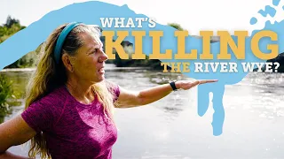 The dirty secret that's killing our rivers | Stop Killing Our Rivers