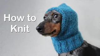 How to Knit An Easy Dog Hat