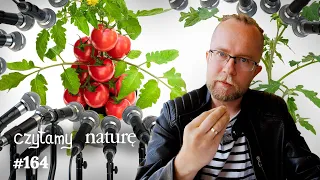 Fizyka huśtawki - Odgłosy zestresowanego pomidora - Co zapamiętamy? | Czytamy naturę #164