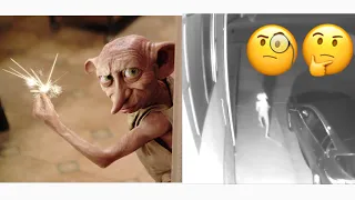 Dobby Elf From Harry Potter Caught On Camera In Real Life 😩