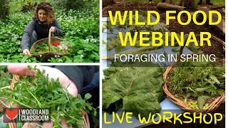 Wild Food Webinar (Foraging in Spring)