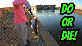 We're Back!! | Delta Mendota Canal Striper Fishing | CA Aqueduct Fishing | Iu Mien Fishing