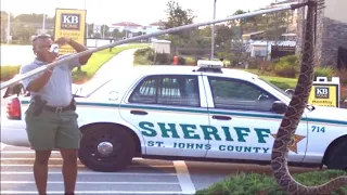 Florida Man Finds World's Largest Rattlesnake