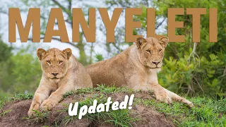 Manyeleti Game Reserve - UPDATED! The Lowveld's best-kept secret