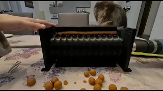 3D printed boilies roller machine