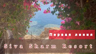 Свежий обзор SIVA SHARM RESOPT & SPA / Sharm El Sheikh 🇾🇪 Egypt / reef / территория, питание, пляж