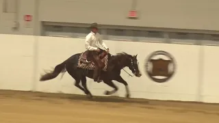 181006 Open Futurity Finals Austin Roush on Gunna Stop