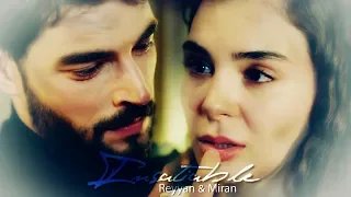 Reyyan & Miran ReyMir Insatiable