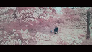 RADWIMPS - Iron Feather [Official Music Video]