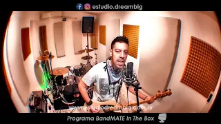 All the small things - BLINK 182 - Cover - BandMATE in the box