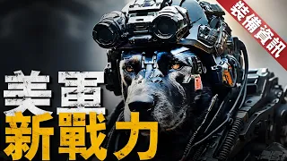 美軍機器狗獲人工智能技術加成！不用人員實時操控也能執行任務！以後將成地面版無人機？ 兵器說|機器狗|美國海軍陸戰隊