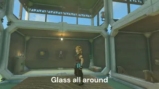 TOTK: Link's Hidden Room