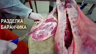 Разделка романовского баранчика. Племенной репродуктор романовской породы овец Атис СХ.