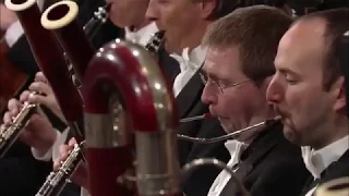 Beethoven  Symphony No 5 bassoon solo