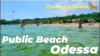 ОДЕССА ИЮЛЬ 2020 БЕСПЛАТНЫЙ ПЛЯЖ!🤫🇺🇦ПЛЯЖ СОБАЧИЙ ОДЕССА🦮!ODESSA PUBLIC BEACH JULY 2020!🇺🇦🌊⛱