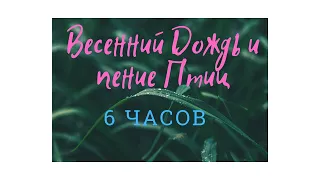 Вы Расслабитесь и Уснете/Весенний Дождь на поле с Птицами. Звуки Природы. Звуко-терапия поможет вам