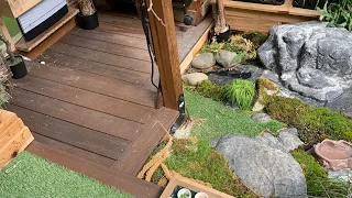 Getting birds to nest in the finch aviary