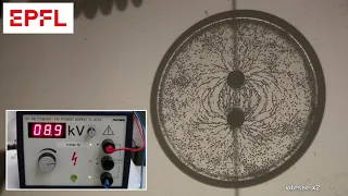 409 Lignes de champ électrostatiques (semoule)