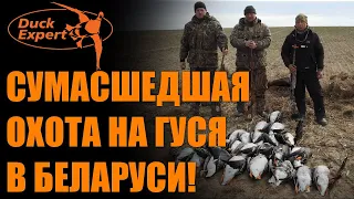 СУМАСШЕДШАЯ ОХОТА НА ГУСЯ В БЕЛАРУСИ! ТЫСЯЧИ ГУСЕЙ! ОТЛИЧНЫЕ НАЛЕТЫ в 4K!