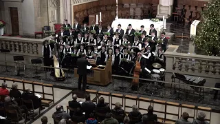 Britten: This little Babe (from Ceremony of Carols) // Pueri Cantores Luxembourg, Dina Nimax