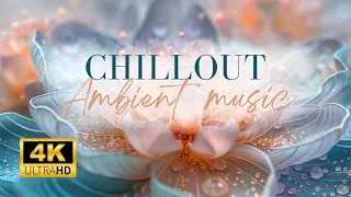 🌺 Relaxing Chill Out Ambient Music - 4K  3D Uplifting Piano & Floral Background Screensaver