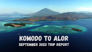 Diving Komodo and Alor in 2023... (4K)