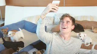 #Pixel: Puppies! by Connor Franta, Phone by Google