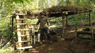 Off Grid shelter build Diy Survival Making and Bushcraft - the roof difficult the walls even worse !