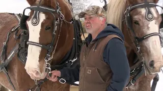 Horses pull semi-truck up icy hill in Mabel, Minnesota